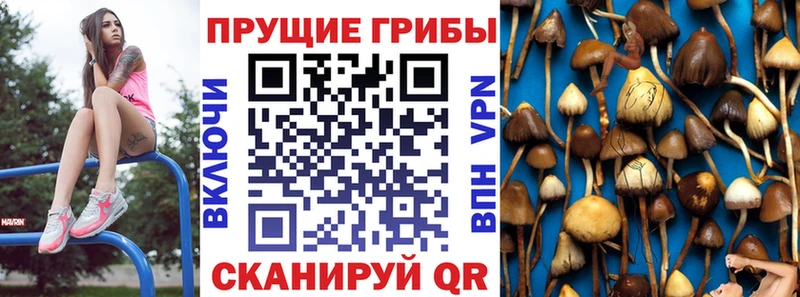 Галлюциногенные грибы мухоморы  наркотики  Новосибирск 