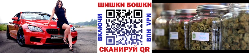 дарнет шоп  Новосибирск  Каннабис индика 
